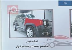 جيب رينيجيد